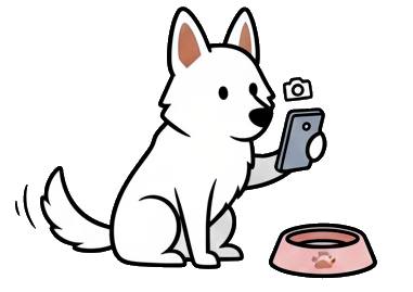 Taking a photo of an item